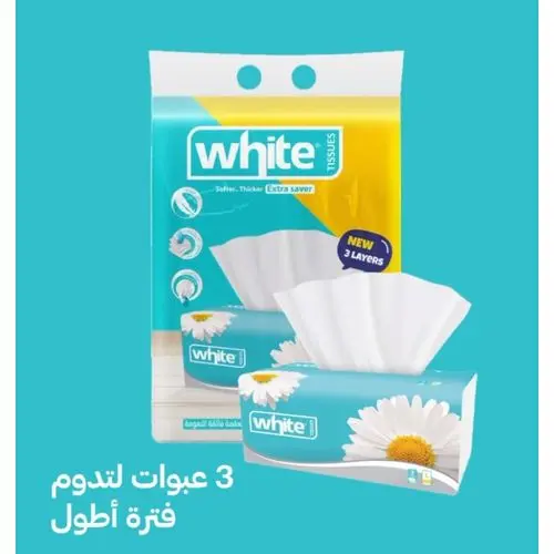 [D6570] وايت مناديل 500ق
